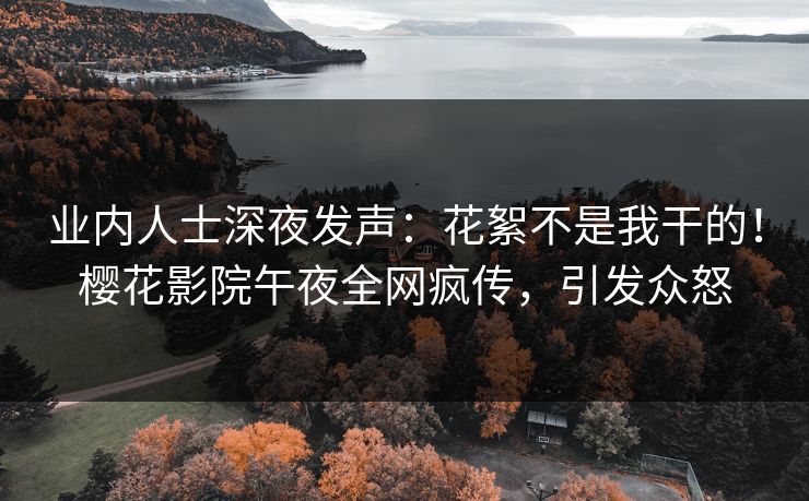 业内人士深夜发声：花絮不是我干的！樱花影院午夜全网疯传，引发众怒