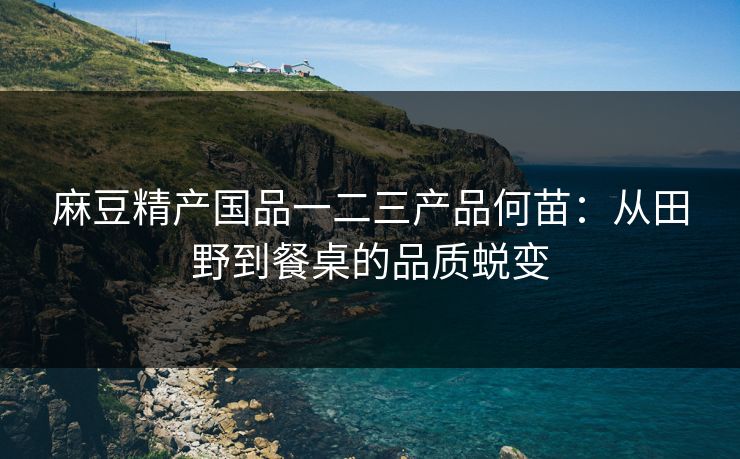 麻豆精产国品一二三产品何苗：从田野到餐桌的品质蜕变