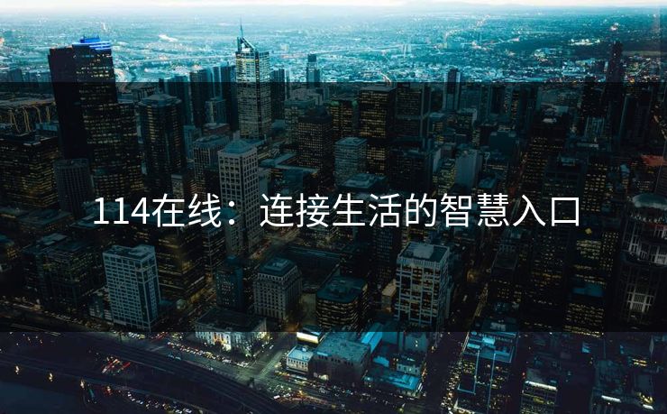 114在线：连接生活的智慧入口