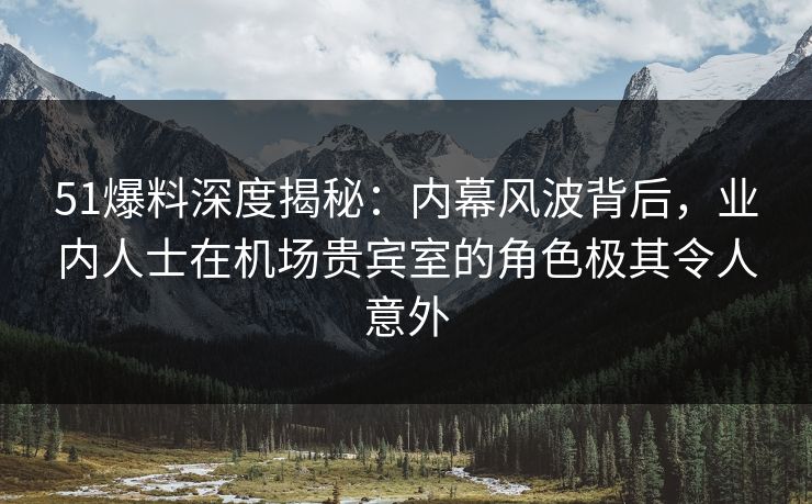 51爆料深度揭秘：内幕风波背后，业内人士在机场贵宾室的角色极其令人意外