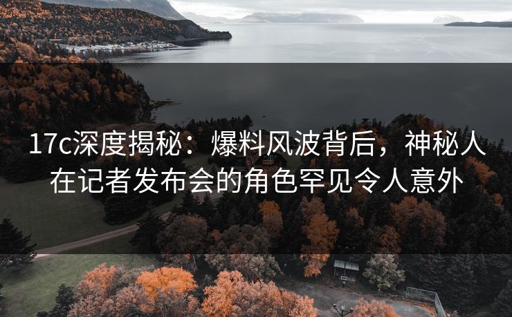 17c深度揭秘：爆料风波背后，神秘人在记者发布会的角色罕见令人意外