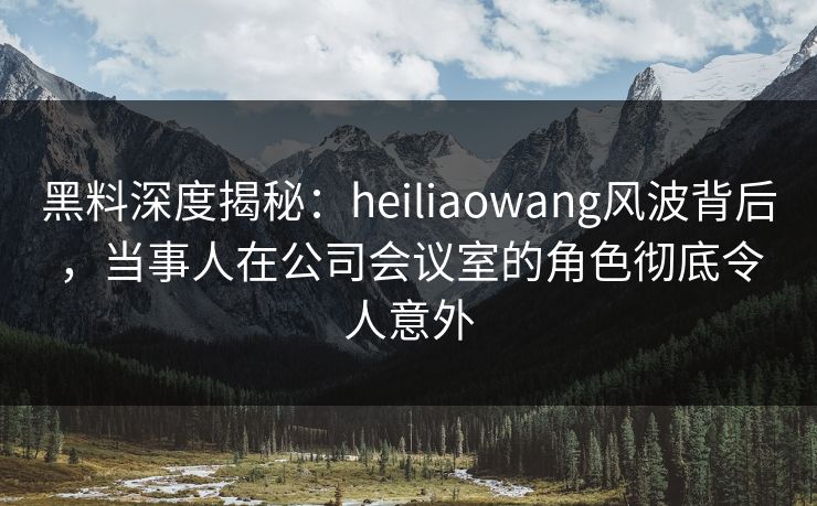 黑料深度揭秘：heiliaowang风波背后，当事人在公司会议室的角色彻底令人意外