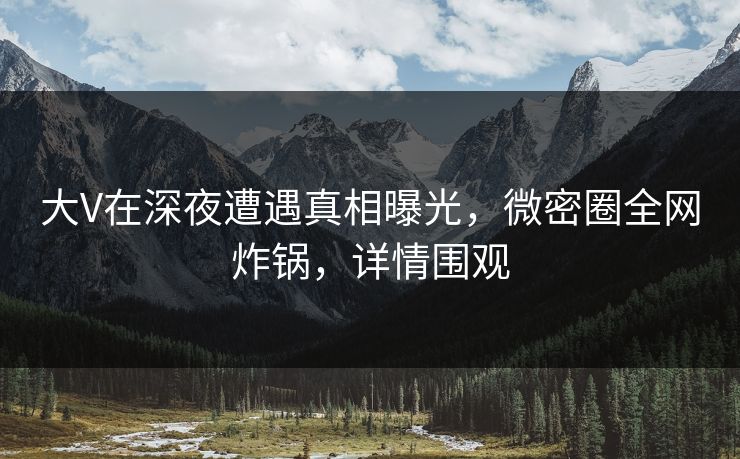 大V在深夜遭遇真相曝光，微密圈全网炸锅，详情围观