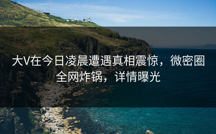 大V在今日凌晨遭遇真相震惊，微密圈全网炸锅，详情曝光