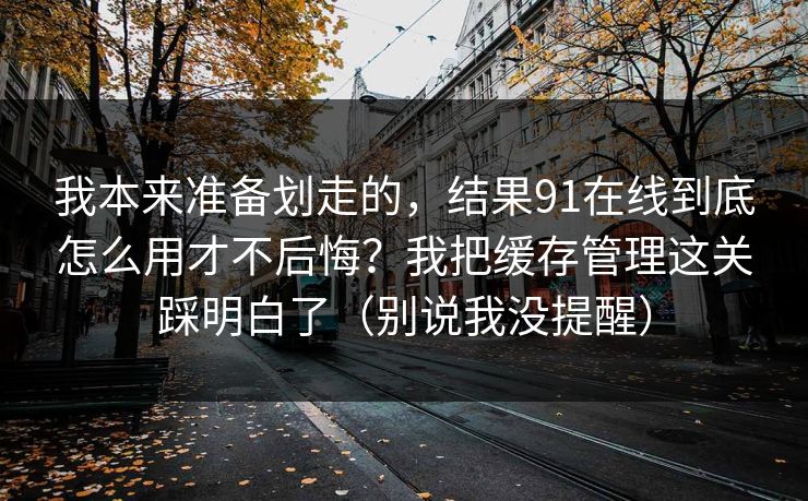 我本来准备划走的，结果91在线到底怎么用才不后悔？我把缓存管理这关踩明白了（别说我没提醒）